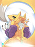 Renamon Body pillow case DIGIMON Mitgard-Knight